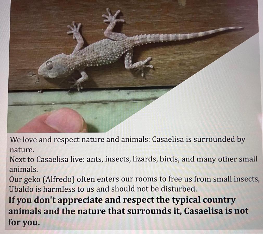 加尔尼亚诺Casa Elisa别墅 外观 照片